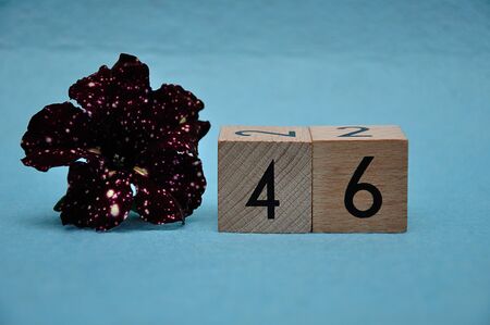 Number forty six with a purple petunia on a blue backgroundの写真素材