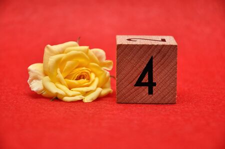 Number four with a yellow rose on a red backgroundの写真素材