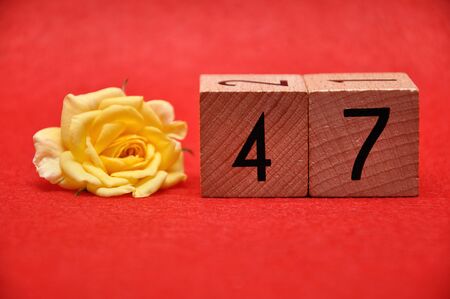 Number forty seven with a yellow rose on a red backgroundの写真素材
