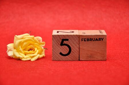 5 February on wooden blocks with a yellow rose on a red backgroundの写真素材