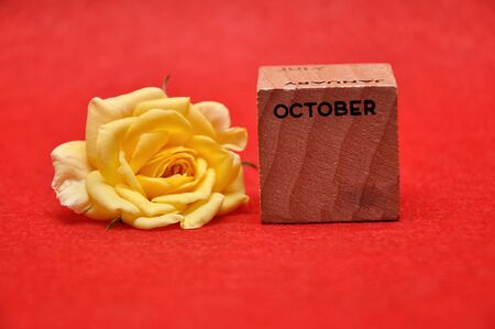 October on a wooden block with a yellow rose on a red backgroundの写真素材