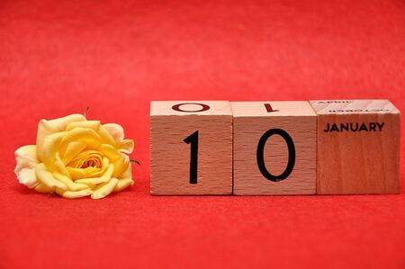10 January on wooden blocks with a yellow rose on a red backgroundの写真素材
