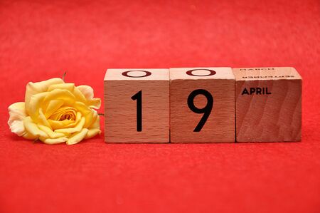 19 April on wooden blocks with a yellow rose on a red backgroundの写真素材