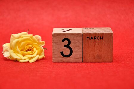 3 March on wooden blocks with a yellow rose on a red backgroundの写真素材