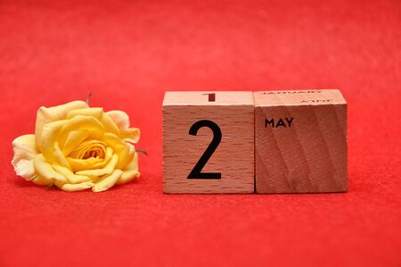 2 May on wooden blocks with a yellow rose on a red backgroundの写真素材