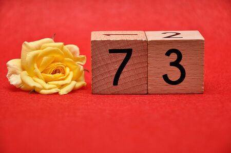 Number seventy three with a yellow rose on a red backgroundの写真素材