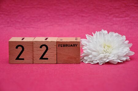 22 February on wooden blocks with a white aster on a pink backgroundの写真素材