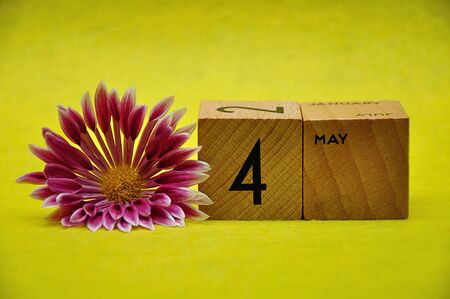 4 May on wooden blocks with a pink and white aster on a yellow backgroundの写真素材