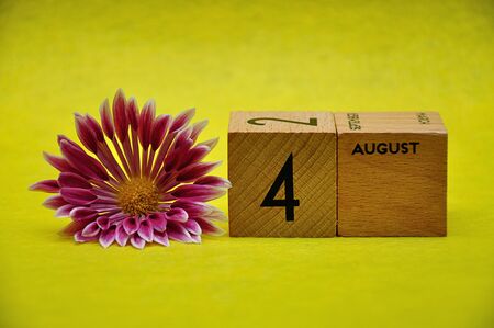 4 August on wooden blocks with a pink and white aster on a yellow backgroundの写真素材