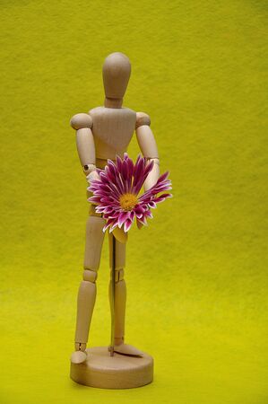 A wooden mannequin display with a pink aster against a yellow backgroundの写真素材
