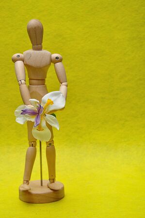 A wooden mannequin with a white African irisの写真素材