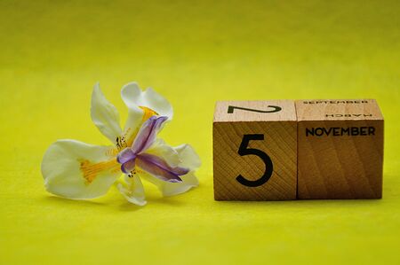 5 November on wooden blocks with an african iris on a yellow backgroundの写真素材