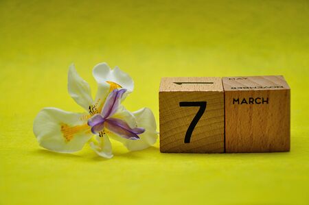 7 March on wooden blocks with an african iris on a yellow backgroundの写真素材