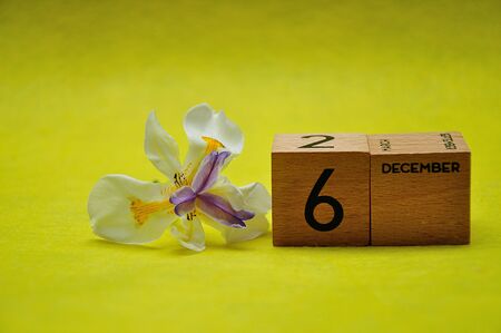 6 December on wooden blocks with an african iris on a yellow backgroundの写真素材
