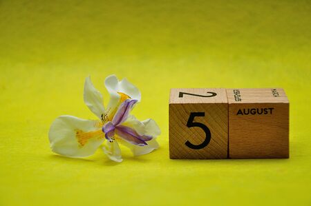 5 August on wooden blocks with an african iris on a yellow backgroundの写真素材