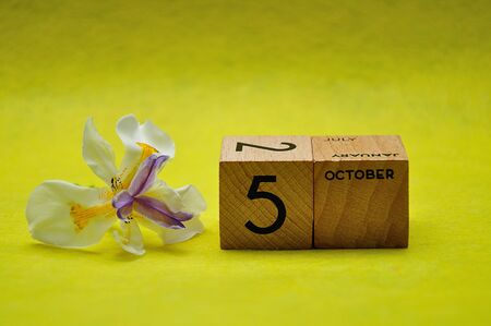 5 October on wooden blocks with an african iris on a yellow backgroundの写真素材