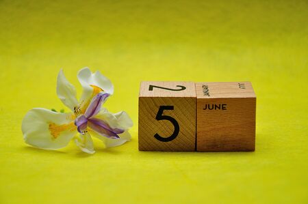 5 June on wooden blocks with an african iris on a yellow backgroundの写真素材