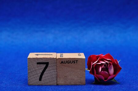 7 August on wooden blocks with a red rose on a blue backgroundの写真素材