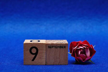 9 September on wooden blocks with a red rose on a blue backgroundの写真素材