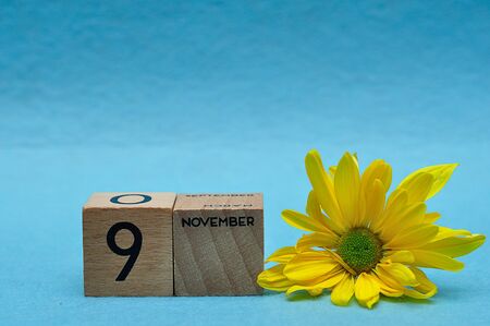 9 November on wooden blocks with a yellow aster on a blue backgroundの写真素材