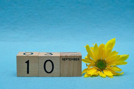 10 September on wooden blocks with a yellow aster on a blue backgroundの写真素材