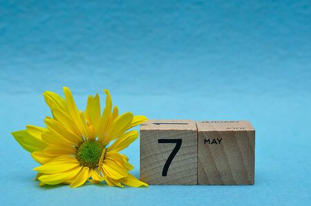 7 May on wooden blocks with a yellow aster on a blue backgroundの写真素材