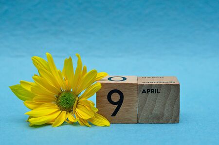 9 April on wooden blocks with a yellow aster on a blue backgroundの写真素材