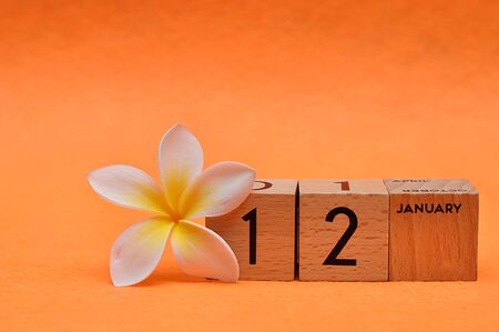12 January on wooden blocks with a Frangipani flower on an orange background