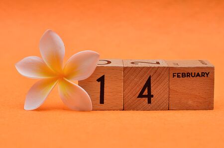 14 February on wooden blocks with a Frangipani flower on an orange backgroundの写真素材