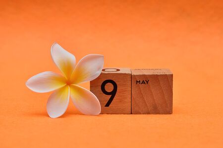 9 May on wooden blocks with a Frangipani flower on an orange backgroundの写真素材