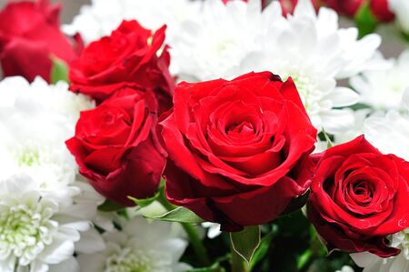 A bouquet of fresh red roses and white dahliasの写真素材