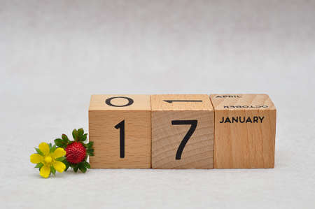 17 January on wooden blocks with a strawberry and yellow flower on a white backgroundの写真素材