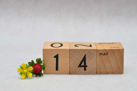 14 May on wooden blocks with a strawberry and yellow flower on a white backgroundの写真素材