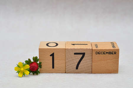 17 December on wooden blocks with a strawberry and yellow flower on a white backgroundの写真素材