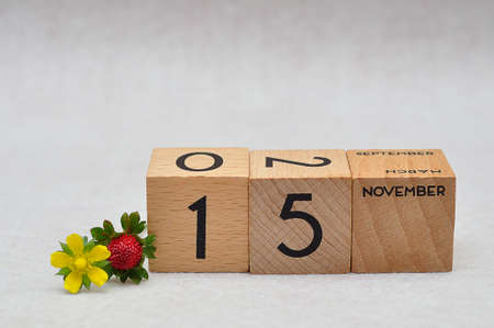 15 November on wooden blocks with a strawberry and yellow flower on a white backgroundの写真素材