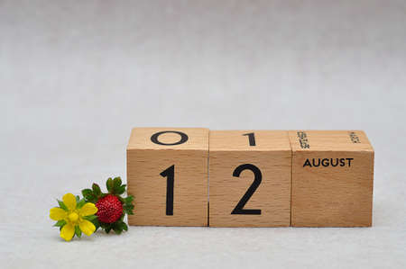 12 August on wooden blocks with a strawberry and yellow flower on a white backgroundの写真素材