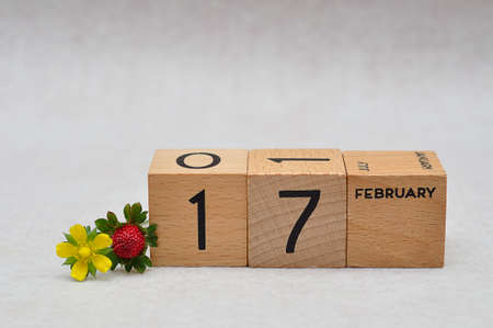 17 February on wooden blocks with a strawberry and yellow flower on a white backgroundの写真素材