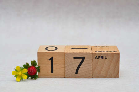 17 April on wooden blocks with a strawberry and yellow flower on a white backgroundの写真素材