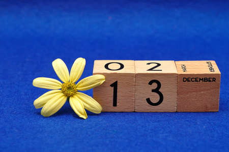 13 December on wooden blocks with a yellow flower on a blue backgroundの写真素材