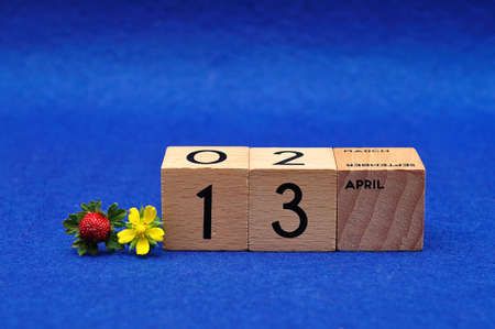 13 April on wooden blocks with a strawberry and a yellow flower on a blue backgroundの写真素材