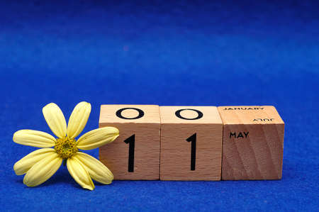 11 May on wooden blocks with a yellow flower on a blue backgroundの写真素材