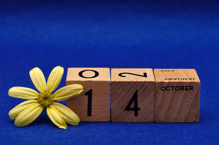 14 October on wooden blocks with a yellow flower on a blue backgroundの写真素材