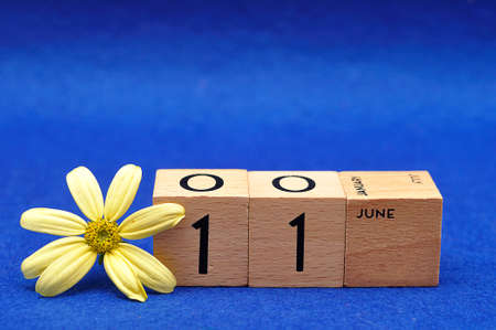 11 June on wooden blocks with a yellow flower on a blue backgroundの写真素材