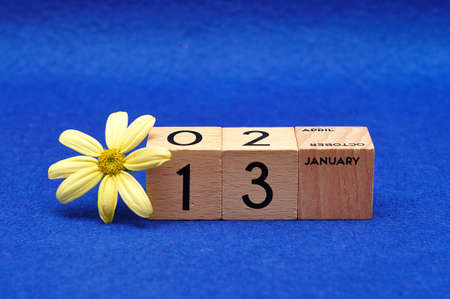 13 January on wooden blocks with a yellow flower on a blue backgroundの写真素材