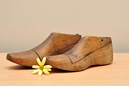 Vintage wooden shoe forms with a yellow daisyの写真素材