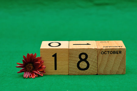 on wooden blocks with an African daisy on a green backgroundの写真素材
