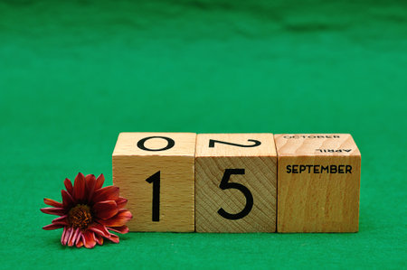 15 September on wooden blocks with an African daisy on a green backgroundの写真素材