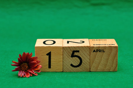15 April on wooden blocks with an African daisy on a green backgroundの写真素材