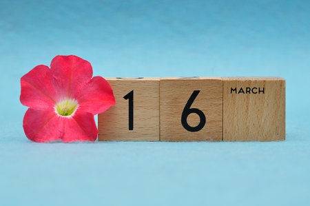 16 March on wooden blocks with a Petunia on a blue backgroundの写真素材