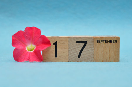 17 September on wooden blocks with a Petunia on a blue backgroundの写真素材